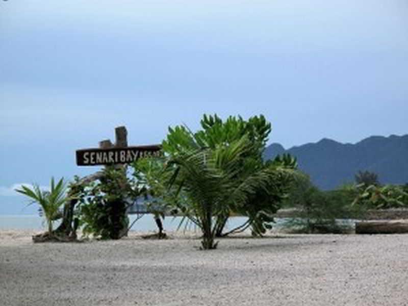 Senari Bay Resort Pantai Cenang  Dış mekan fotoğraf